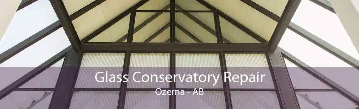 Glass Conservatory Repair Ozerna - AB