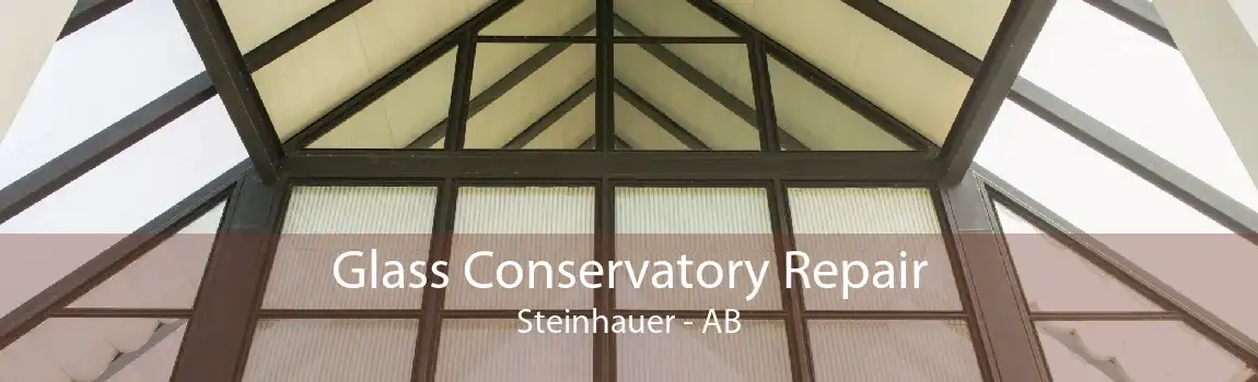 Glass Conservatory Repair Steinhauer - AB