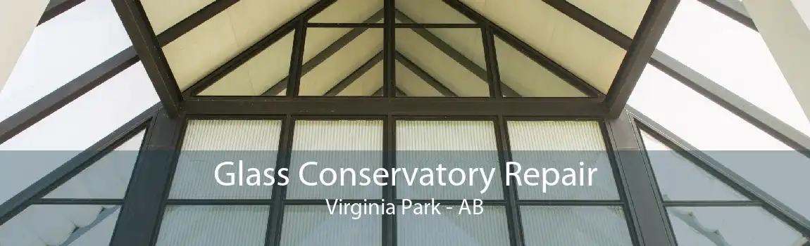 Glass Conservatory Repair Virginia Park - AB