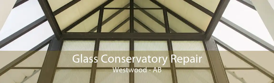 Glass Conservatory Repair Westwood - AB