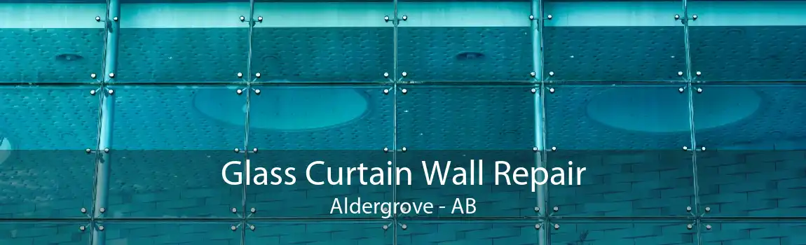 Glass Curtain Wall Repair Aldergrove - AB