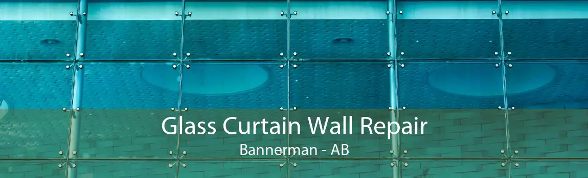 Glass Curtain Wall Repair Bannerman - AB