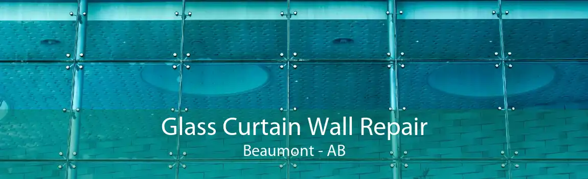 Glass Curtain Wall Repair Beaumont - AB