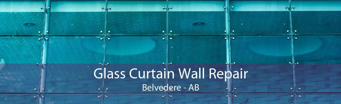 Glass Curtain Wall Repair Belvedere - AB