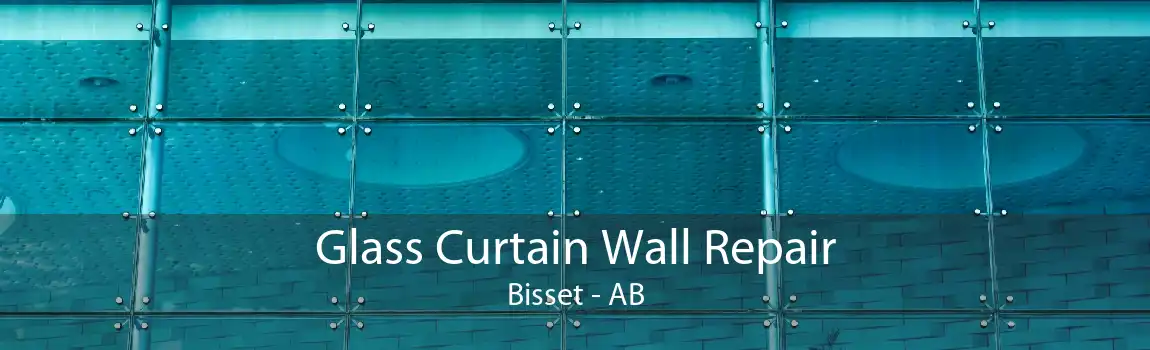 Glass Curtain Wall Repair Bisset - AB