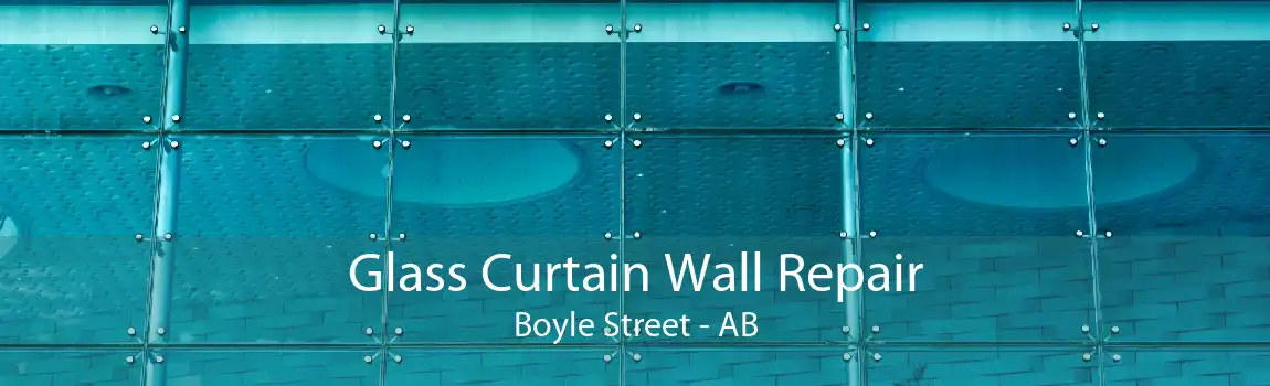 Glass Curtain Wall Repair Boyle Street - AB