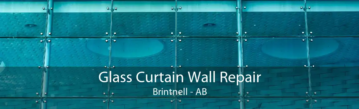 Glass Curtain Wall Repair Brintnell - AB