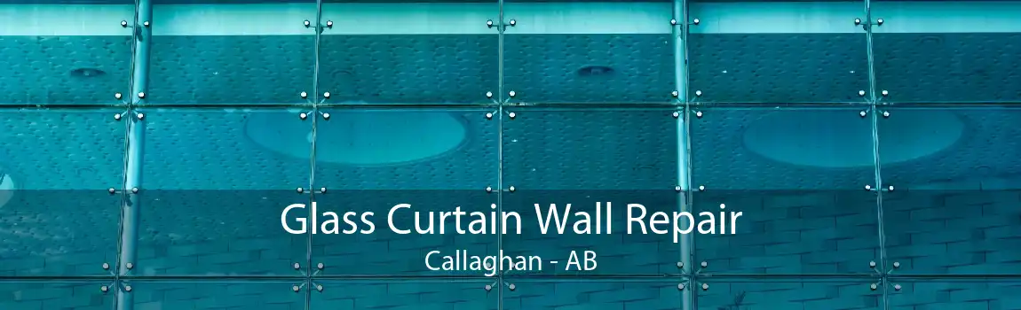 Glass Curtain Wall Repair Callaghan - AB