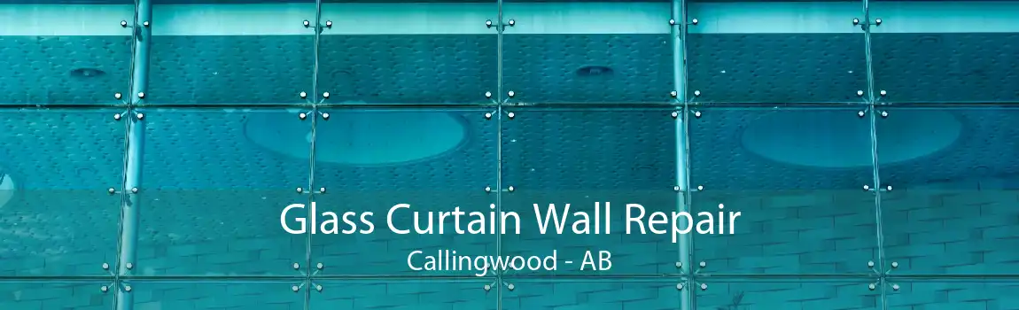 Glass Curtain Wall Repair Callingwood - AB