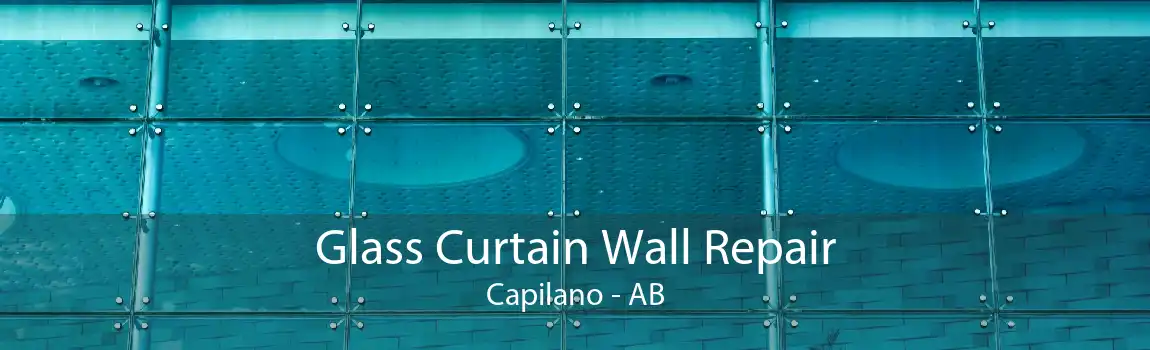 Glass Curtain Wall Repair Capilano - AB