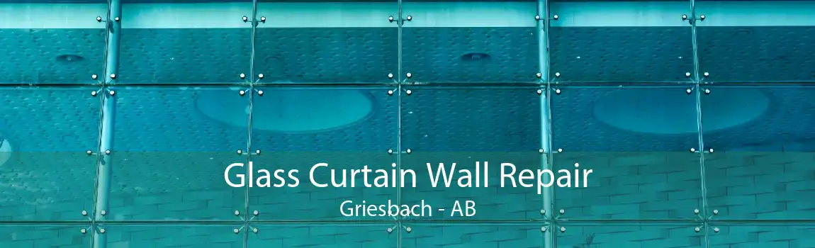 Glass Curtain Wall Repair Griesbach - AB