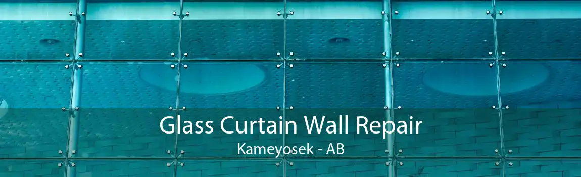 Glass Curtain Wall Repair Kameyosek - AB