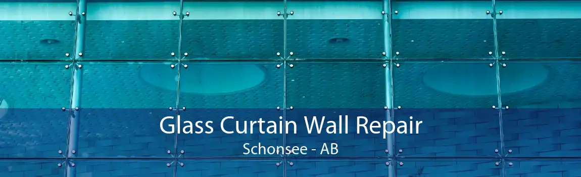 Glass Curtain Wall Repair Schonsee - AB