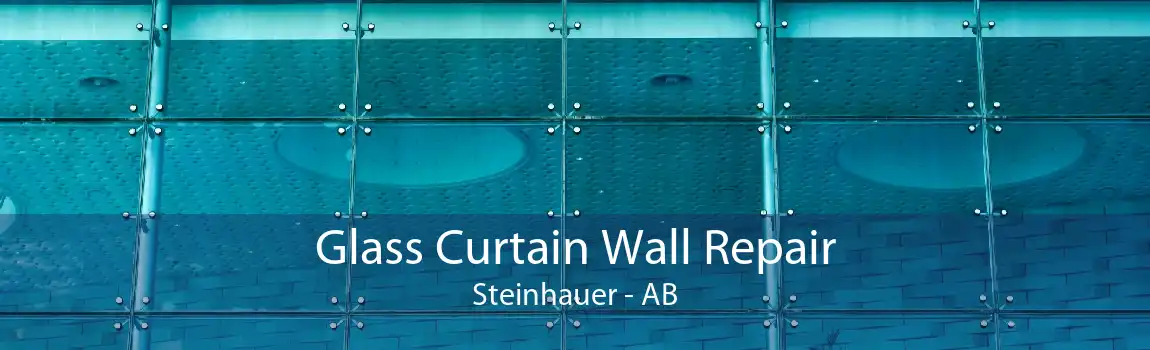 Glass Curtain Wall Repair Steinhauer - AB