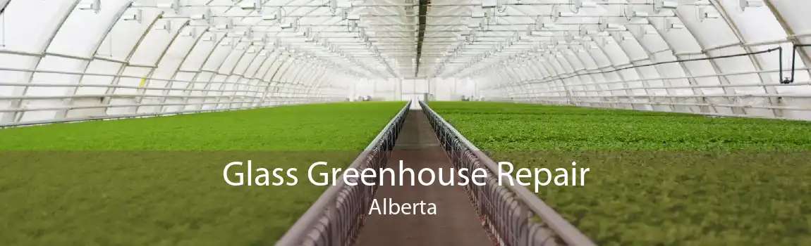 Glass Greenhouse Repair Alberta 