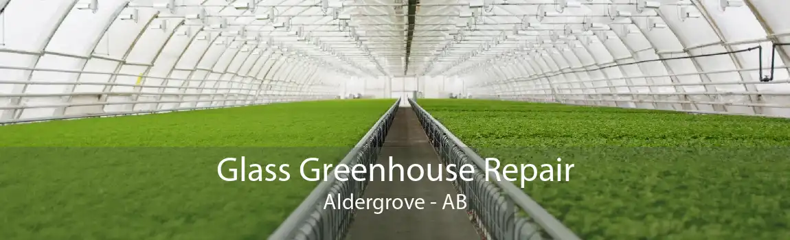 Glass Greenhouse Repair Aldergrove - AB