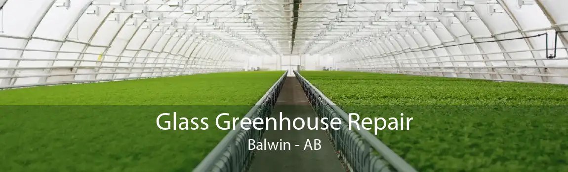 Glass Greenhouse Repair Balwin - AB