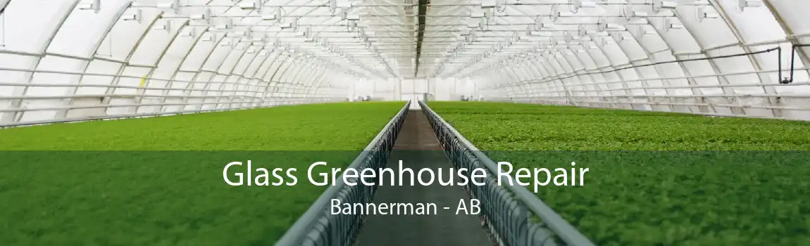 Glass Greenhouse Repair Bannerman - AB