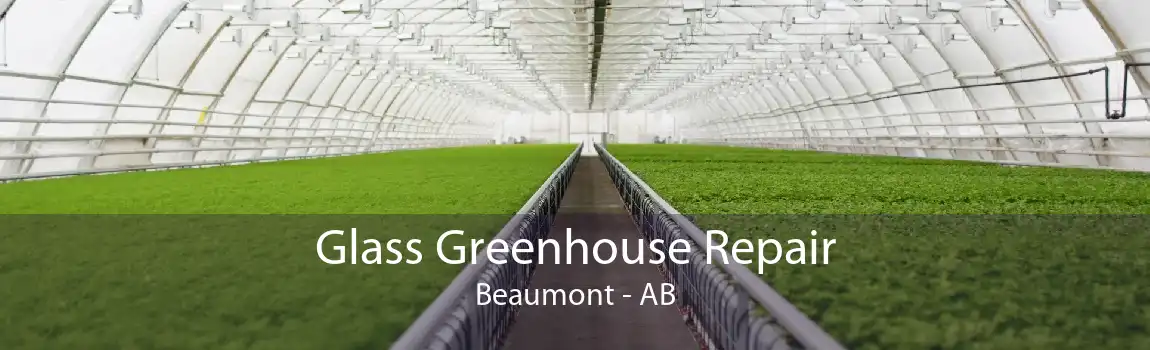 Glass Greenhouse Repair Beaumont - AB