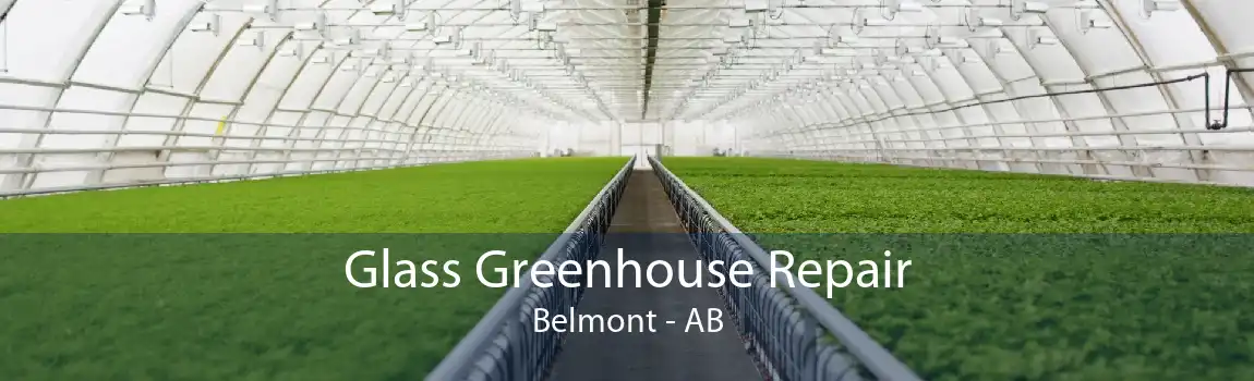 Glass Greenhouse Repair Belmont - AB