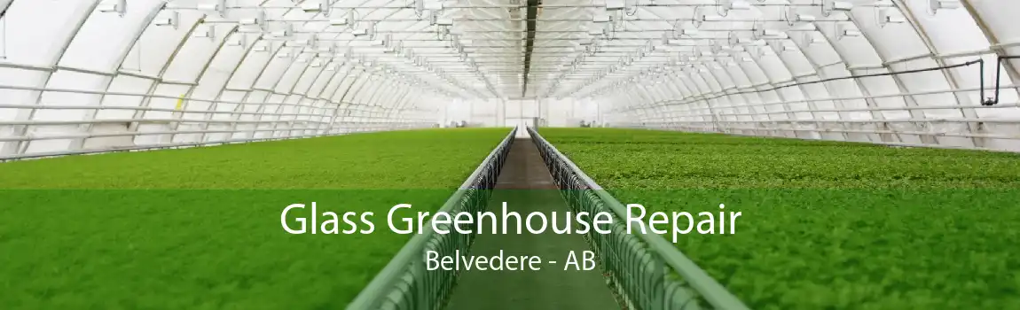 Glass Greenhouse Repair Belvedere - AB