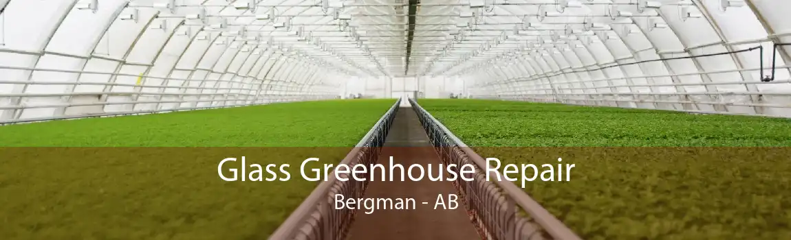 Glass Greenhouse Repair Bergman - AB