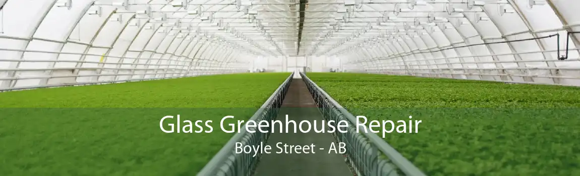 Glass Greenhouse Repair Boyle Street - AB