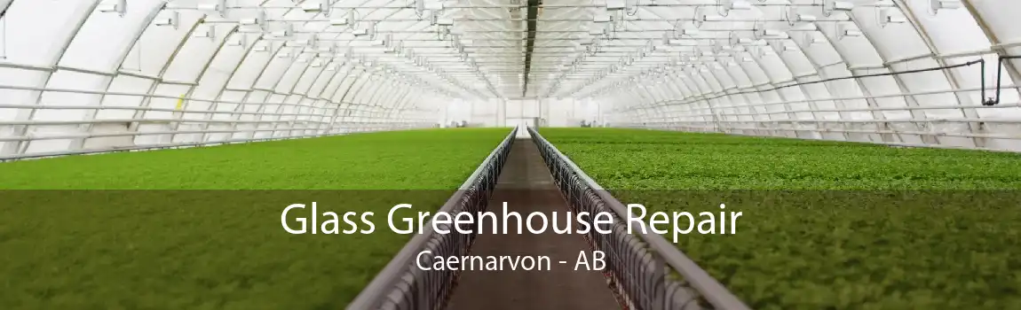 Glass Greenhouse Repair Caernarvon - AB