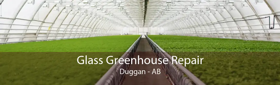 Glass Greenhouse Repair Duggan - AB