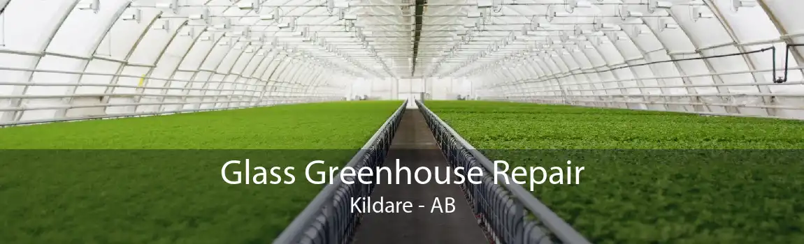 Glass Greenhouse Repair Kildare - AB