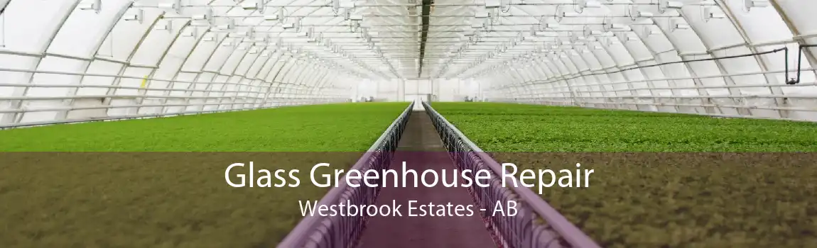 Glass Greenhouse Repair Westbrook Estates - AB