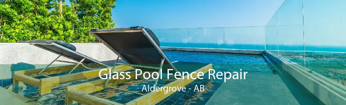 Glass Pool Fence Repair Aldergrove - AB