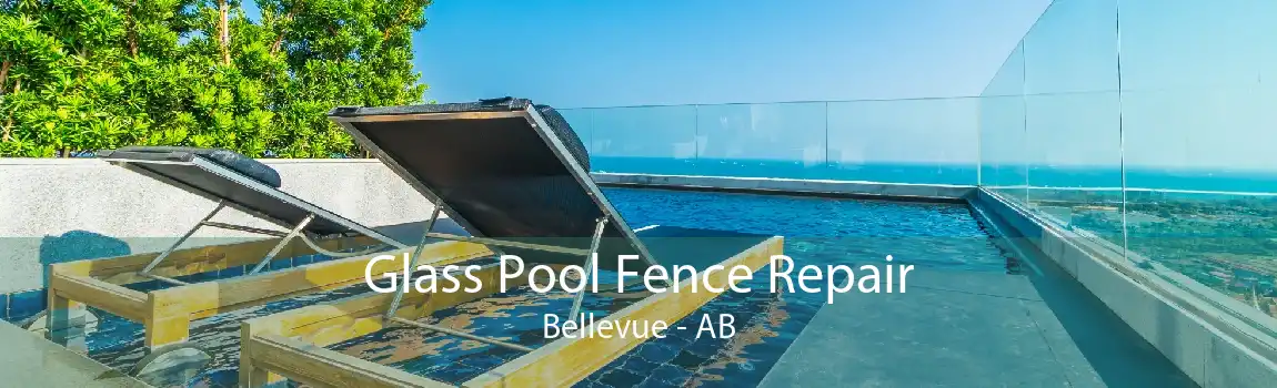 Glass Pool Fence Repair Bellevue - AB