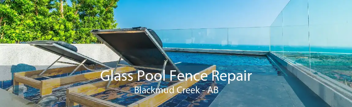 Glass Pool Fence Repair Blackmud Creek - AB