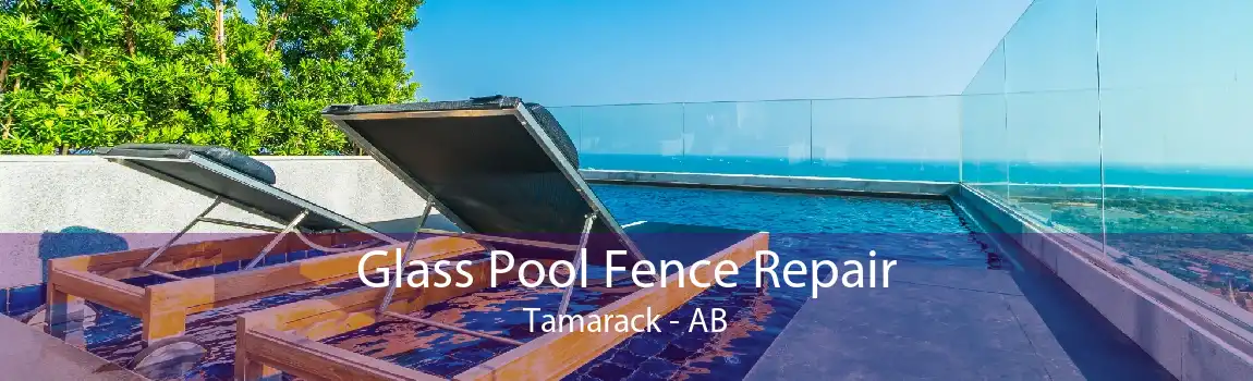 Glass Pool Fence Repair Tamarack - AB