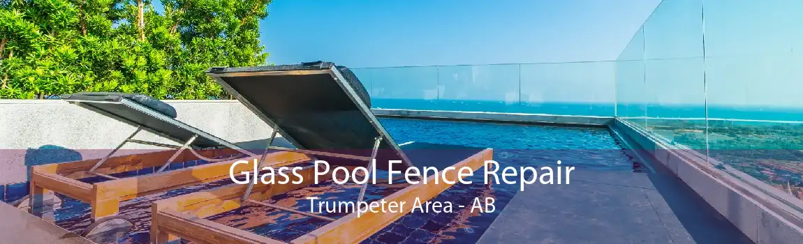 Glass Pool Fence Repair Trumpeter Area - AB