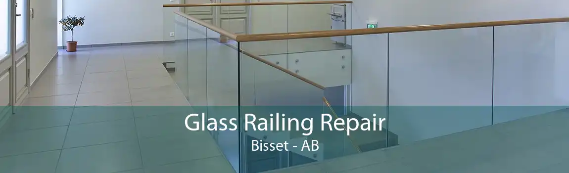 Glass Railing Repair Bisset - AB