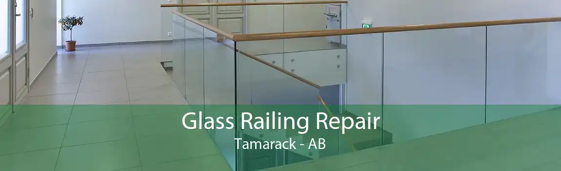 Glass Railing Repair Tamarack - AB