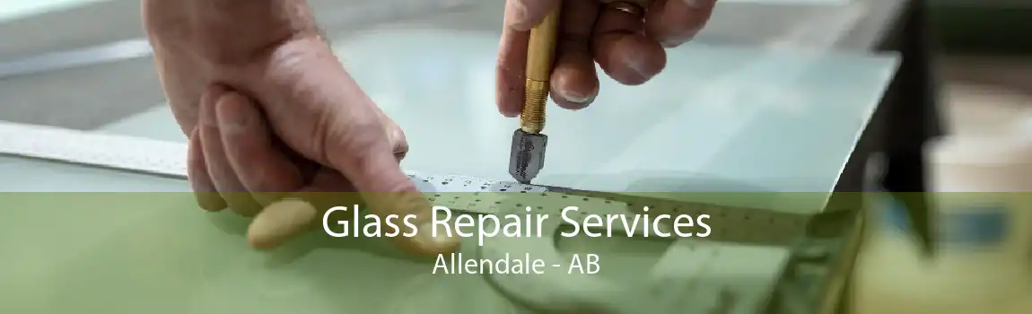 Glass Repair Services Allendale - AB