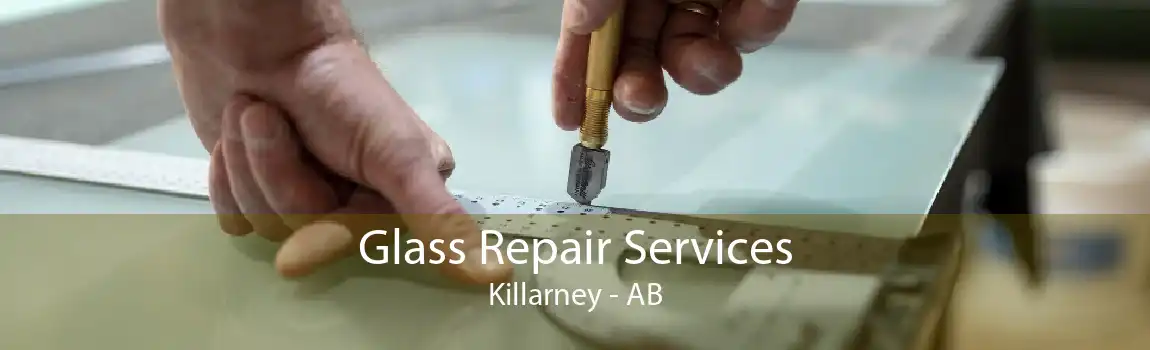 Glass Repair Services Killarney - AB