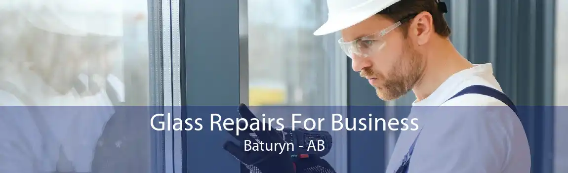 Glass Repairs For Business Baturyn - AB