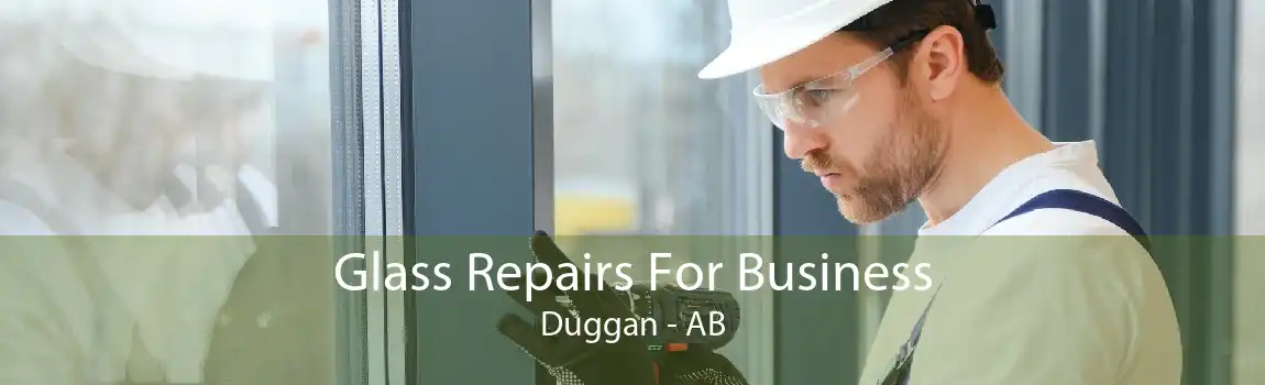 Glass Repairs For Business Duggan - AB