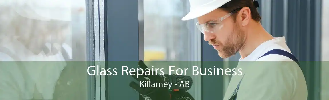 Glass Repairs For Business Killarney - AB