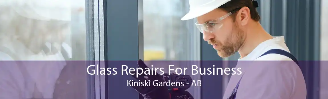 Glass Repairs For Business Kiniski Gardens - AB