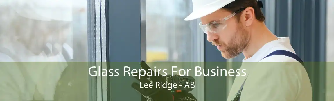 Glass Repairs For Business Lee Ridge - AB