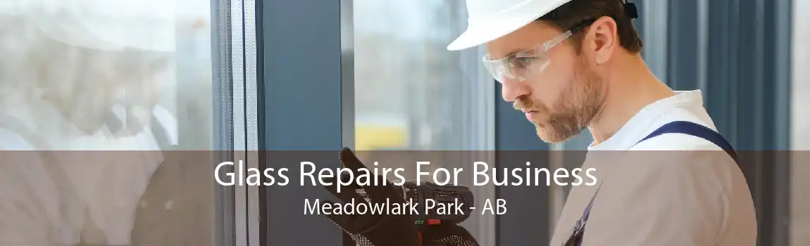 Glass Repairs For Business Meadowlark Park - AB