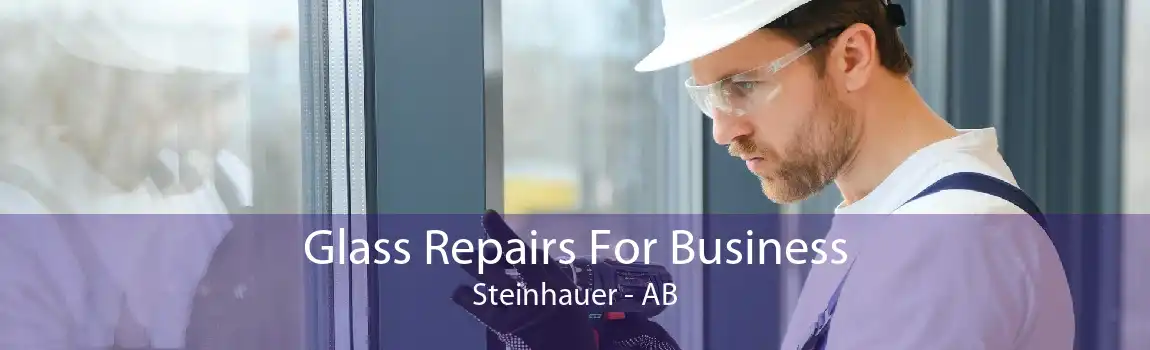 Glass Repairs For Business Steinhauer - AB