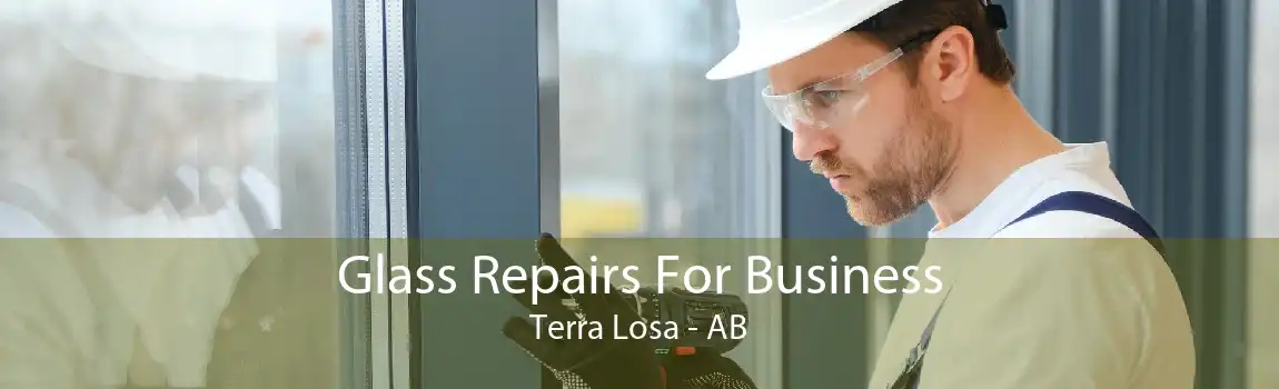 Glass Repairs For Business Terra Losa - AB