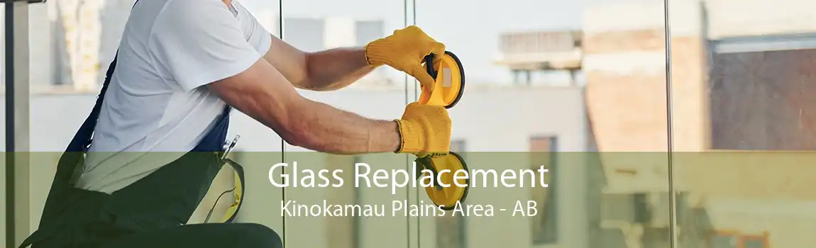 Glass Replacement Kinokamau Plains Area - AB