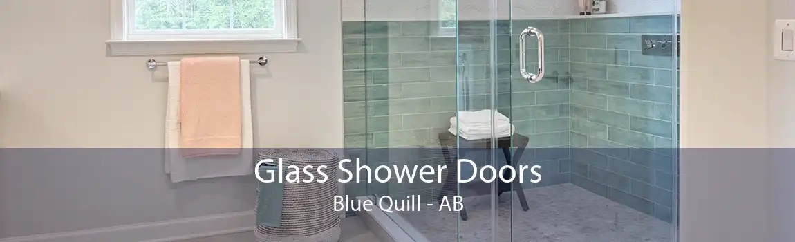 Glass Shower Doors Blue Quill - AB